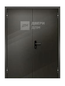 Глухая двустворчатая металлическая противопожарная дверь от огня толщина металла 2 мм ДП-039